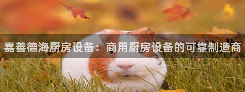 尊龙游戏中心：嘉善德海厨房设备：商用厨房设备的可靠制造商