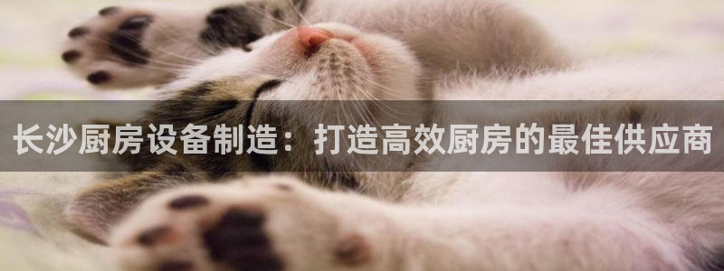 尊龙网址登录官网：长沙厨房设备制造：打造高效厨房的最佳供应商