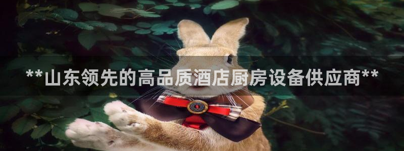 尊龙-人生就是博!：**山东领先的高品质酒店厨房设备供应商*