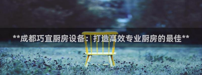 尊龙凯时平台有没有不到账的：**成都巧宜厨房设备：打造高效专