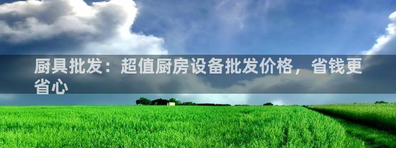 尊龙t600怎么样：厨具批发：超值厨房设备批发价格，省钱更
