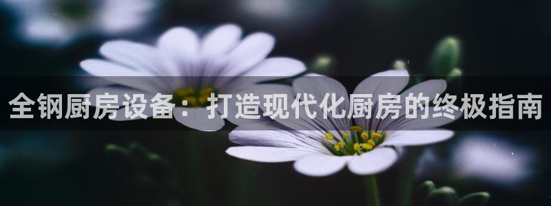 尊龙凯时 人生就是搏!：全钢厨房设备：打造现代化厨房的终极指