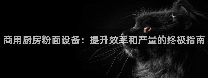 凯时国际app首页登录：商用厨房粉面设备：提升效率和产量的终