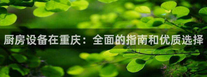 尊龙app认可ag发财网：厨房设备在重庆：全面的指南和优质选