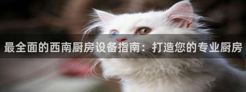 尊龙d88手机版下载：最全面的西南厨房设备指南：打造您的专业