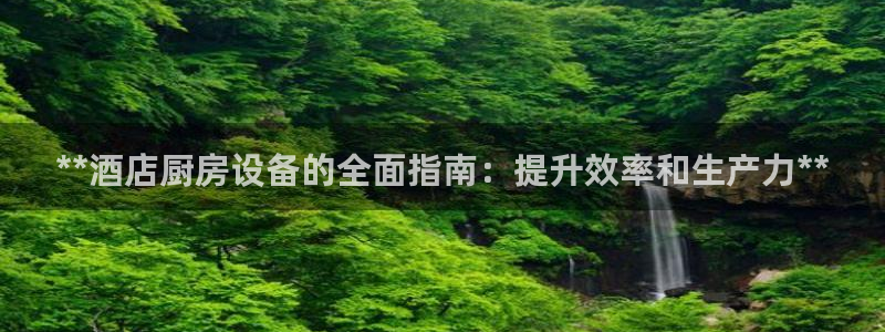 尊龙凯时请求参数不符合：**酒店厨房设备的全面指南：提升效率