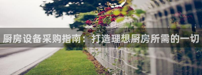 尊龙凯时ag旗舰厅官：厨房设备采购指南：打造理想厨房所需的一