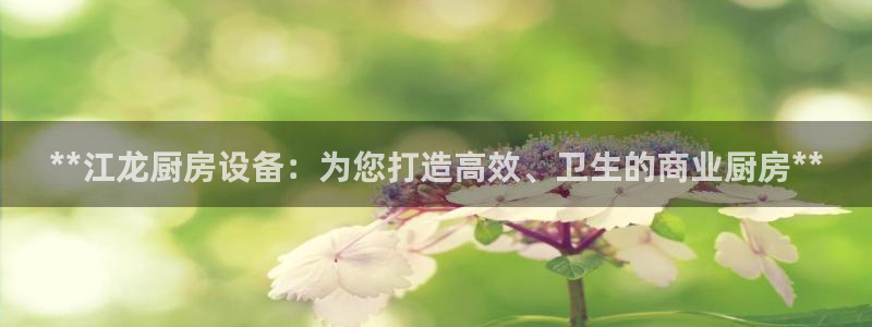 尊龙人生就是博一下阿扎尔：**江龙厨房设备：为您打造高效、卫
