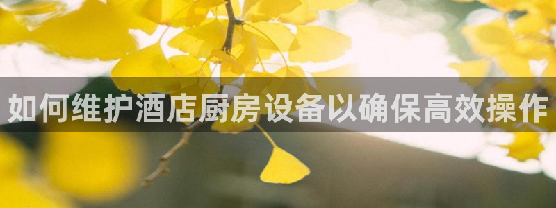尊龙凯时能做退米么：如何维护酒店厨房设备以确保高效操作