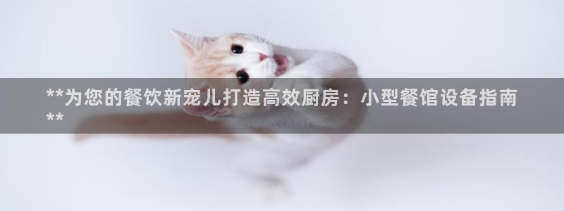 尊龙d88皆选ag发财网：**为您的餐饮新宠儿打造高效厨房：