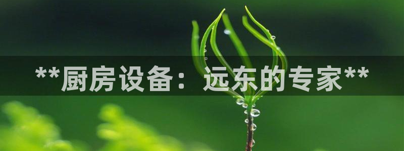 尊龙现在：**厨房设备：远东的专家**