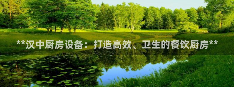 尊龙凯时麻将胡了：**汉中厨房设备：打造高效、卫生的餐饮厨房