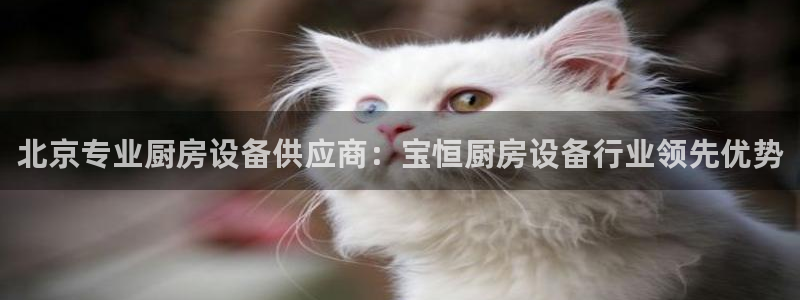 尊龙目前在哪：北京专业厨房设备供应商：宝恒厨房设备行业领先优