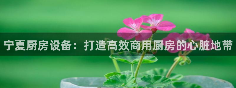 尊龙凯时的最新消息：宁夏厨房设备：打造高效商用厨房的心脏地带