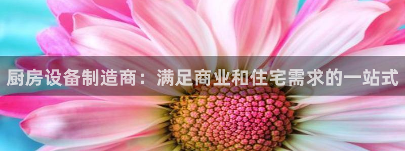 尊龙最近一次露面：厨房设备制造商：满足商业和住宅需求的一站式