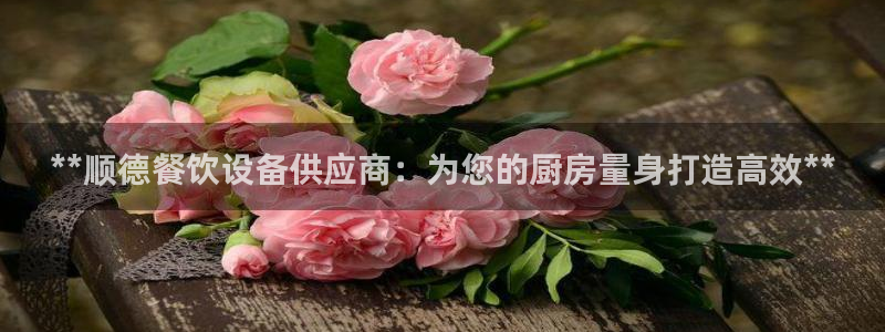 凯时平台app：**顺德餐饮设备供应商：为您的厨房量身打造高