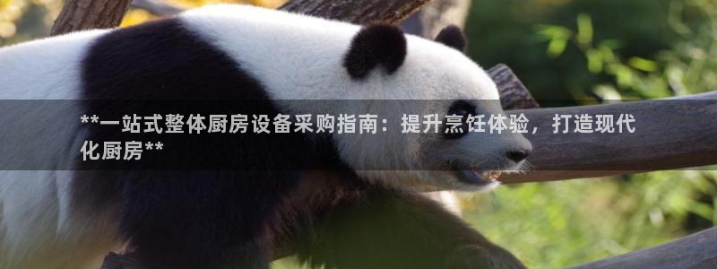 尊龙人生就是博旧：**一站式整体厨房设备采购指南：提升烹饪体