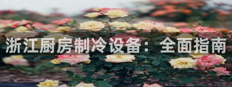 尊龙凯时一人生就是博官网：浙江厨房制冷设备：全面指南