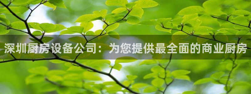 尊龙D88现金旧版：深圳厨房设备公司：为您提供最全面的商业厨