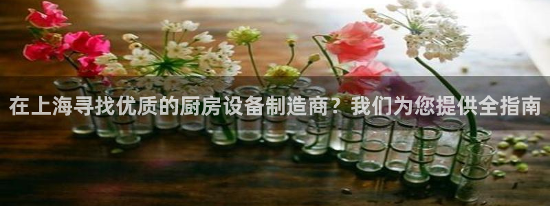 尊龙APP客户端平台：在上海寻找优质的厨房设备制造商？我们为