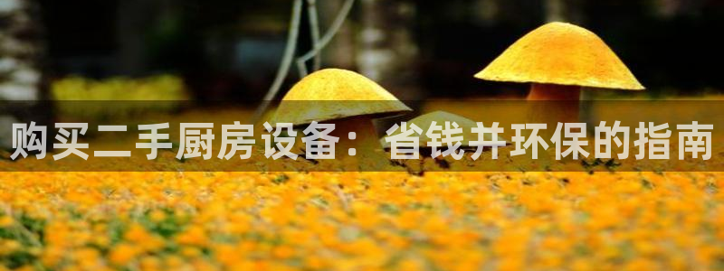 尊龙实业有限公司属于国企吗：购买二手厨房设备：省钱并环保的指