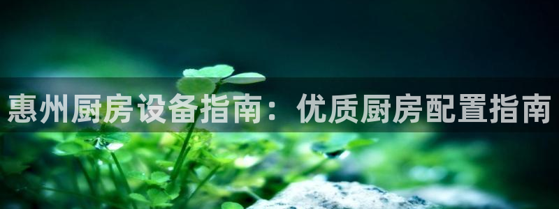 尊龙app怎么样：惠州厨房设备指南：优质厨房配置指南