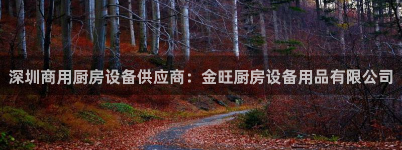 尊龙人生就是博官网登录手机：深圳商用厨房设备供应商：金旺厨房