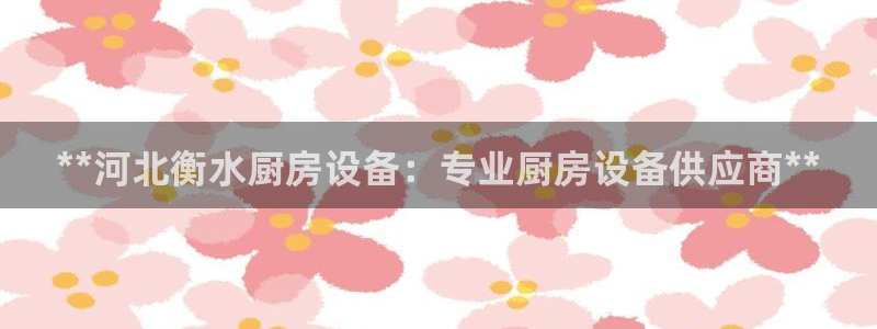 尊龙内地：**河北衡水厨房设备：专业厨房设备供应商**