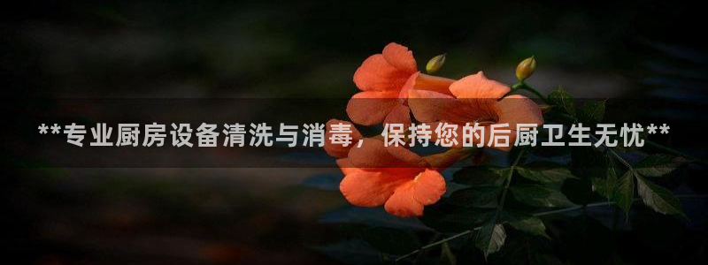 凯时官网app下载官方网站：**专业厨房设备清洗与消毒，保持