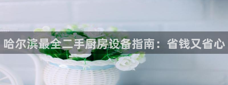 尊龙官网/首选kpm：哈尔滨最全二手厨房设备指南：省钱又省心