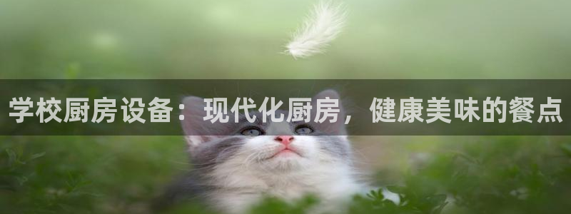 尊龙专访视频：学校厨房设备：现代化厨房，健康美味的餐点