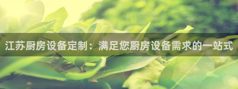 尊龙ag旗舰厅官网·(中国)官方入口：江苏厨房设备定制：满足
