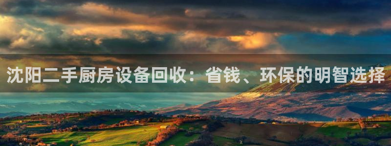 尊龙凯时代理官网入口：沈阳二手厨房设备回收：省钱、环保的明智