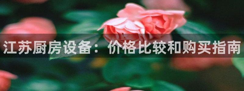 尊龙人生就是博一下下：江苏厨房设备：价格比较和购买指南
