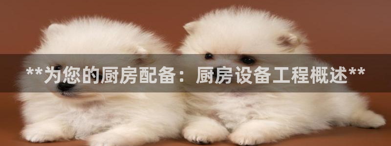 尊龙凯时怎么注册：**为您的厨房配备：厨房设备工程概述**