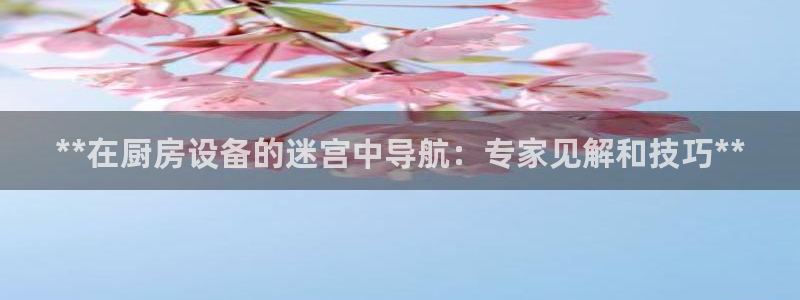 尊龙一人生就是博尊：**在厨房设备的迷宫中导航：专家见解和技