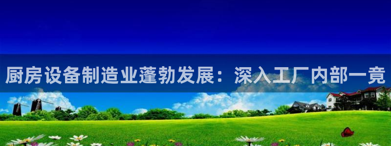 尊龙凯时人生就是搏官方网站：厨房设备制造业蓬勃发展：深入工厂