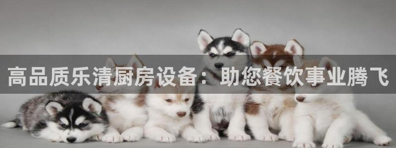 尊龙人生就是博登录网址下载：高品质乐清厨房设备：助您餐饮事业