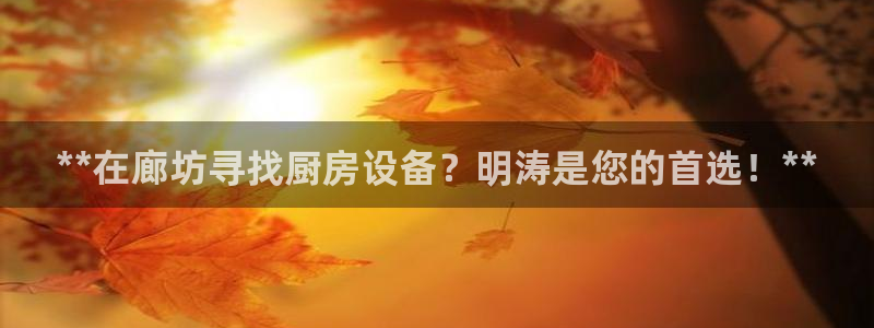 尊龙凯时ag旗舰厅试玩：**在廊坊寻找厨房设备？明涛是您的首