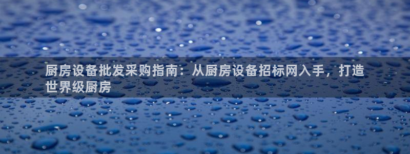 尊龙凯时平台信誉怎样：厨房设备批发采购指南：从厨房设备招标网
