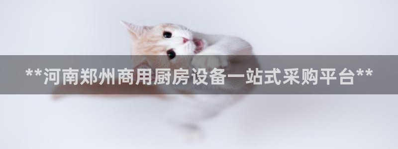 尊龙凯时怎么注册：**河南郑州商用厨房设备一站式采购平台**