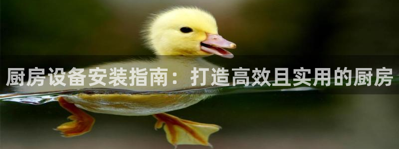 凯时kb88会员登录：厨房设备安装指南：打造高效且实用的厨房