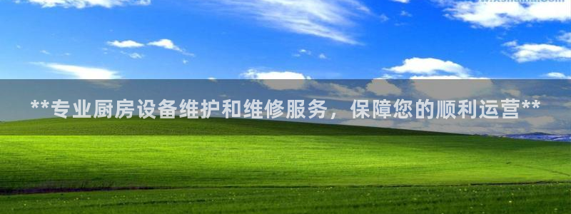 尊龙凯时登录：**专业厨房设备维护和维修服务，保障您的顺利运