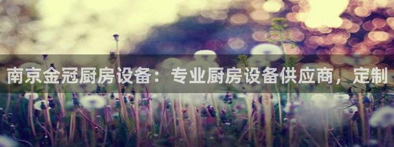 尊龙凯时城娱乐：南京金冠厨房设备：专业厨房设备供应商，定制