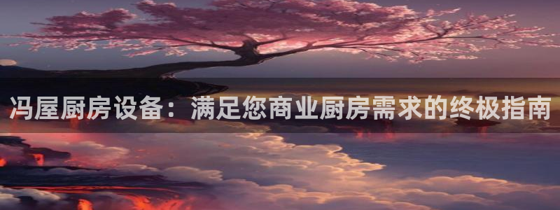 尊龙人生就是博用现金玩一下：冯屋厨房设备：满足您商业厨房需求