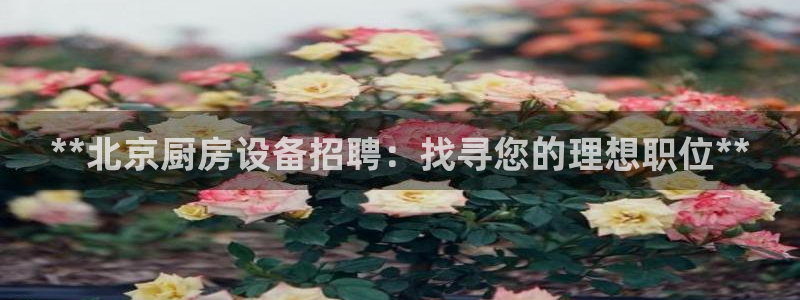 尊龙 国外：**北京厨房设备招聘：找寻您的理想职位**