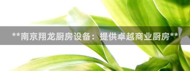 尊龙体育正规么：**南京翔龙厨房设备：提供卓越商业厨房**