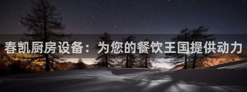 尊龙凯时ag旗舰：春凯厨房设备：为您的餐饮王国提供动力