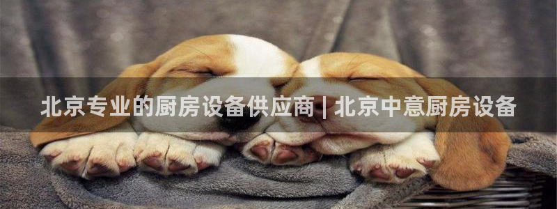 凯时是AG优质运营商：北京专业的厨房设备供应商 | 北京中意