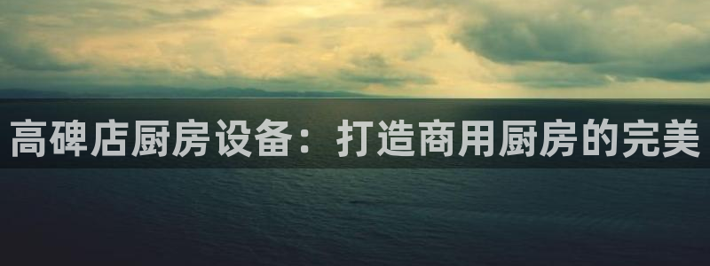 尊龙人品怎么样：高碑店厨房设备：打造商用厨房的完美
